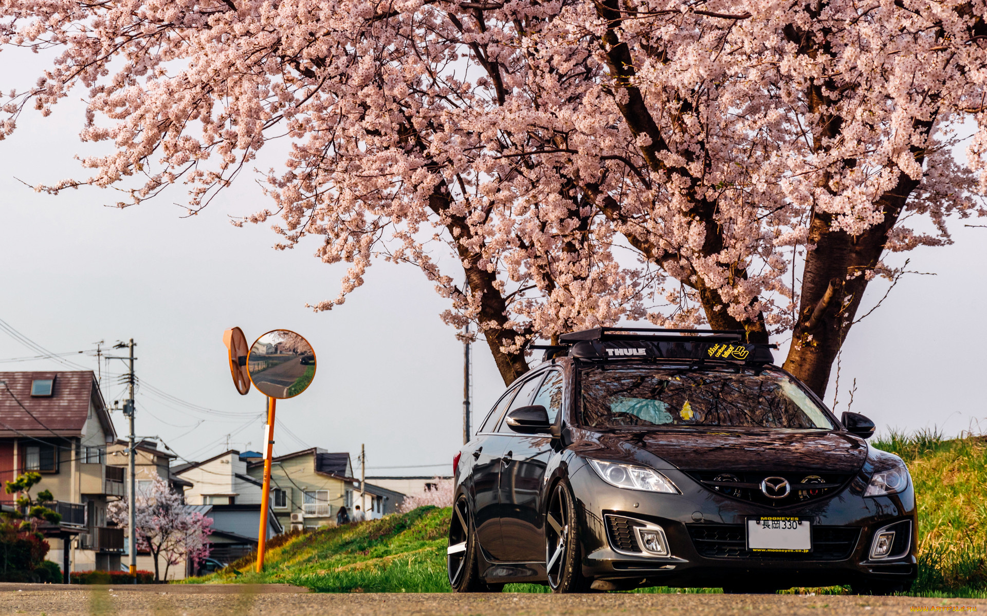 , mazda